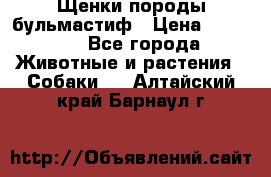 Щенки породы бульмастиф › Цена ­ 25 000 - Все города Животные и растения » Собаки   . Алтайский край,Барнаул г.